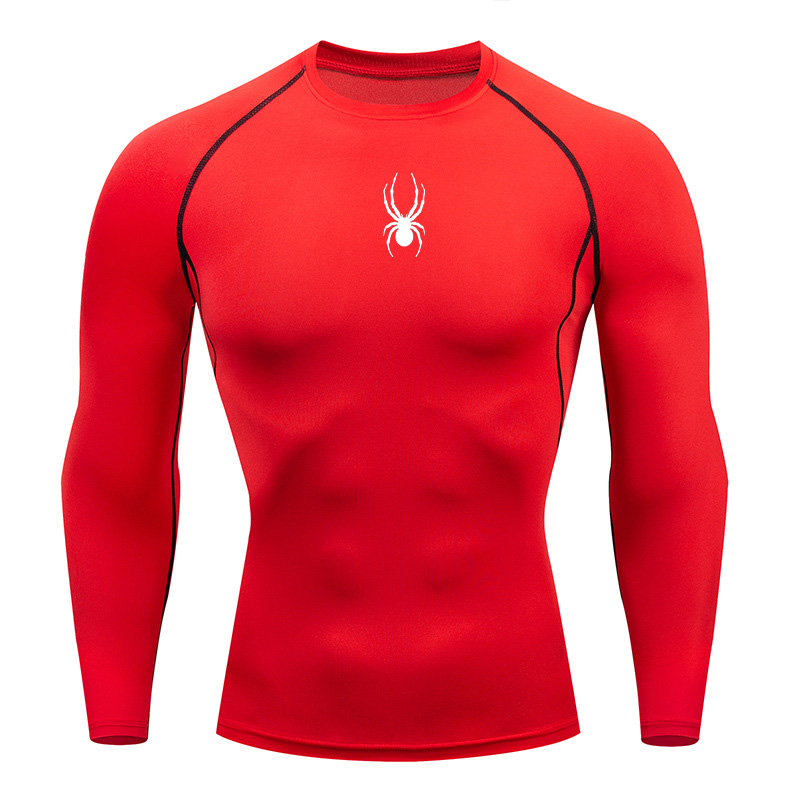 Men's long sleeved fitness T-s - огляд і ціна T Shirt Dry Fit